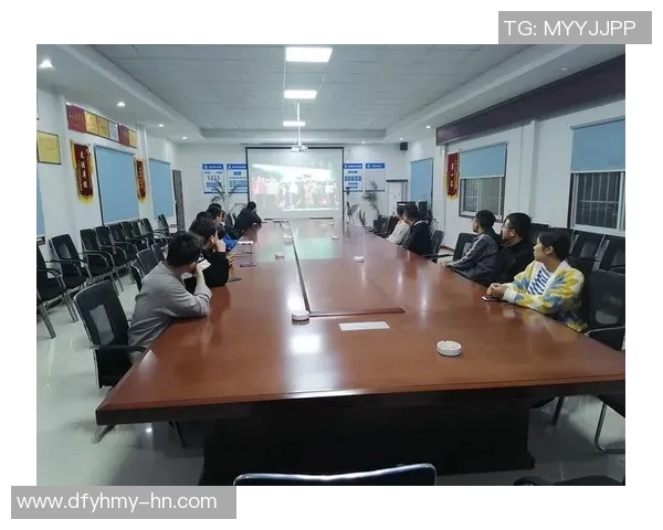 南京排球队的蜕变之路城市联赛中的奋斗与希望