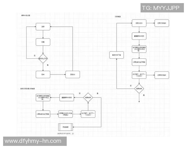 广州羽毛球队的盯防策略揭秘与深度分析探讨